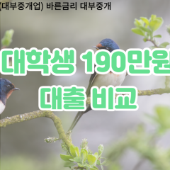 대학생 월변190만원대출 소액190만원대출 개인돈190만원 비대면190만원