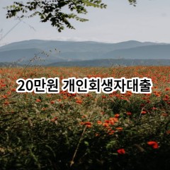 20만원 개인회생자대출 급전 당일 소액 일수 월변