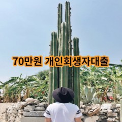 70만원 개인회생자대출 급전 당일 소액 일수 월변