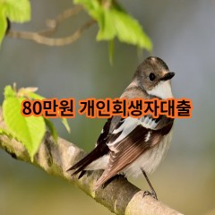 80만원 개인회생자대출 급전 당일 소액 일수 월변