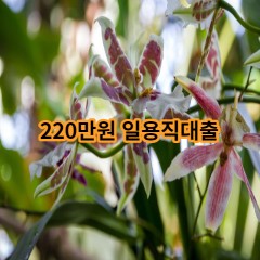 220만원 일용직대출 급전 당일 소액 일수 월변