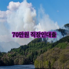 70만원 직장인대출 급전 당일 소액 일수 월변