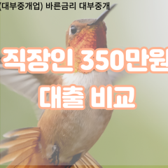 직장인 월변350만원대출 소액350만원대출 개인돈350만원 비대면350만원