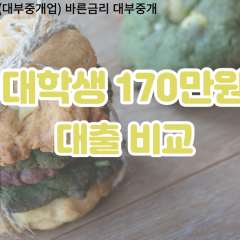 대학생 월변170만원대출 소액170만원대출 개인돈170만원 비대면170만원