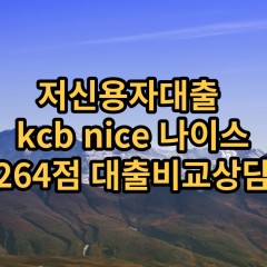 저신용자대출 kcb264점 저신용소액대출 nice264점 저신용비대면대출 나이스264점 신용대출비교상담