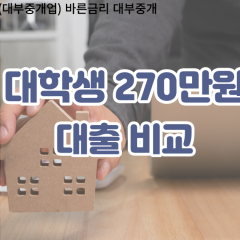 대학생 월변270만원대출 소액270만원대출 개인돈270만원 비대면270만원