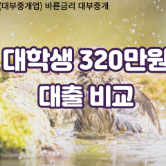 대학생 월변320만원대출 소액320만원대출 개인돈320만원 비대면320만원