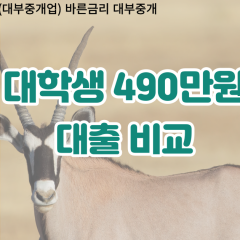 대학생 월변490만원대출 소액490만원대출 개인돈490만원 비대면490만원