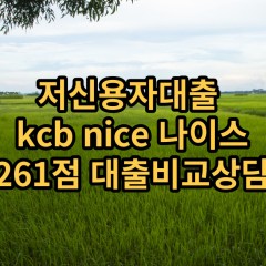 저신용자대출 kcb261점 저신용소액대출 nice261점 저신용비대면대출 나이스261점 신용대출가능한곳