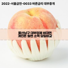 울산남구대부업체 울산남구비대면대부업체 대부업체개인돈 울산남구월변대부업체 울산남구소액대부업체