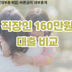 직장인 월변160만원대출 소액160만원대출 개인돈160만원 비대면160만원