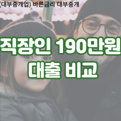 직장인 월변190만원대출 소액190만원대출 개인돈190만원 비대면190만원