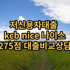 저신용자대출 kcb275점 저신용소액대출 nice275점 저신용비대면대출 나이스275점 신용대출비교상담