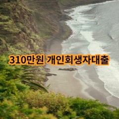 310만원 개인회생자대출 급전 당일 소액 일수 월변