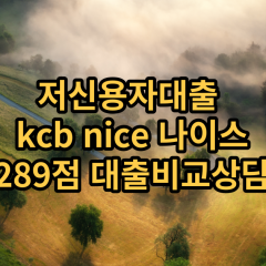 저신용자대출 kcb289점 저신용소액대출 nice289점 저신용비대면대출 나이스289점 신용대출비교상담