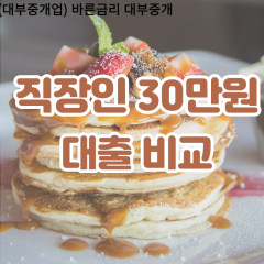 직장인 월변30만원대출 소액30만원대출 개인돈30만원 비대면30만원