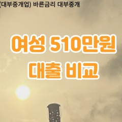 여성 월변510만원대출 소액510만원대출 개인돈510만원 비대면510만원