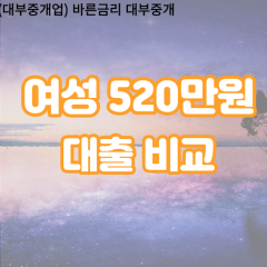 여성 월변520만원대출 소액520만원대출 개인돈520만원 비대면520만원