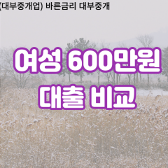 여성 월변600만원대출 소액600만원대출 개인돈600만원 비대면600만원