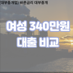 여성 월변340만원대출 소액340만원대출 개인돈340만원 비대면340만원