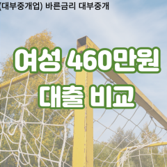 여성 월변460만원대출 소액460만원대출 개인돈460만원 비대면460만원