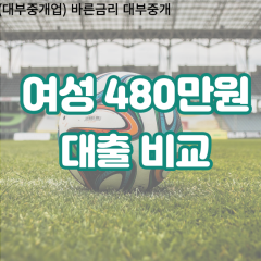 여성 월변480만원대출 소액480만원대출 개인돈480만원 비대면480만원