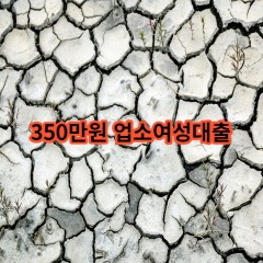 350만원 업소여성대출 급전 당일 소액 일수 월변