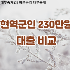 현역군인 비대면230만원대출 개인돈230만원대출 소액230만원 월변230만원