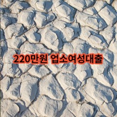 220만원 업소여성대출 급전 당일 소액 일수 월변