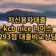 저신용자대출 kcb293점 저신용소액대출 nice293점 저신용비대면대출 나이스293점 신용대출비교상담