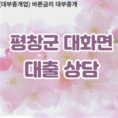 대화면대부업체 대화면비대면대출 평창군대부업체개인돈 대화면월변대부대출 대화면소액대부업체