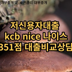 저신용자대출 kcb351점 저신용소액대출 nice351점 저신용비대면대출 나이스351점 신용대출비교상담