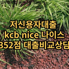 저신용자대출 kcb352점 저신용소액대출 nice352점 저신용비대면대출 나이스352점 신용대출비교상담