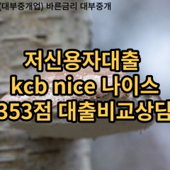 저신용자대출 kcb353점 저신용소액대출 nice353점 저신용비대면대출 나이스353점 신용대출비교상담