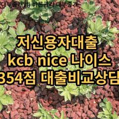 저신용자대출 kcb354점 저신용소액대출 nice354점 저신용비대면대출 나이스354점 신용대출비교상담