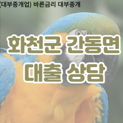 간동면대부업체 간동면비대면대출 화천군대부업체개인돈 간동면월변대부대출 간동면소액대부업체