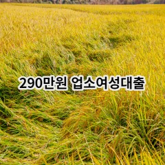 290만원 업소여성대출 급전 당일 소액 일수 월변