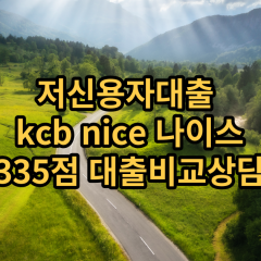 저신용자대출 kcb335점 저신용소액대출 nice335점 저신용비대면대출 나이스335점 신용대출비교상담