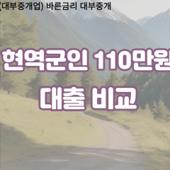 현역군인 비대면110만원대출 개인돈110만원대출 소액110만원 월변110만원