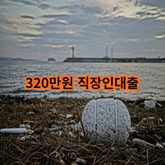 320만원 직장인대출 급전 당일 소액 일수 월변