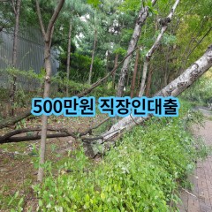 500만원 직장인대출 급전 당일 소액 일수 월변