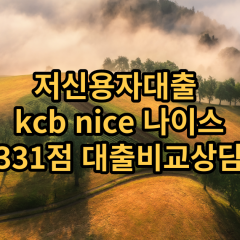 저신용자대출 kcb331점 저신용소액대출 nice331점 저신용비대면대출 나이스331점 신용대출비교상담