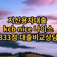 저신용자대출 kcb333점 저신용소액대출 nice333점 저신용비대면대출 나이스333점 신용대출비교상담