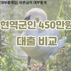 현역군인 비대면450만원대출 개인돈450만원대출 소액450만원 월변450만원