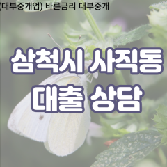 사직동대부업체 사직동비대면대출 삼척시대부업체개인돈 사직동월변대부대출 사직동소액대부업체