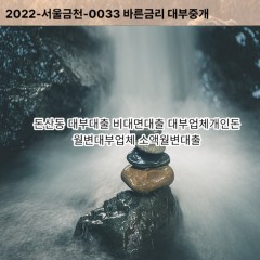 동산동대부대출 동산동비대면대출 고양시덕양구대부업체개인돈 동산동월변대부업체 동산동소액월변대출