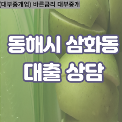 삼화동대부업체 삼화동비대면대출 동해시대부업체개인돈 삼화동월변대부대출 삼화동소액대부업체