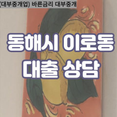 이로동대부업체 이로동비대면대출 동해시대부업체개인돈 이로동월변대부대출 이로동소액대부업체