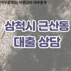 근산동대부업체 근산동비대면대출 삼척시대부업체개인돈 근산동월변대부대출 근산동소액대부업체