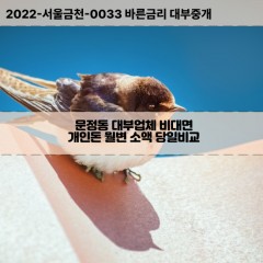 문정동대부대출 문정동비대면대출 송파구대부업체개인돈 문정동월변대부업체 문정동소액월변대출